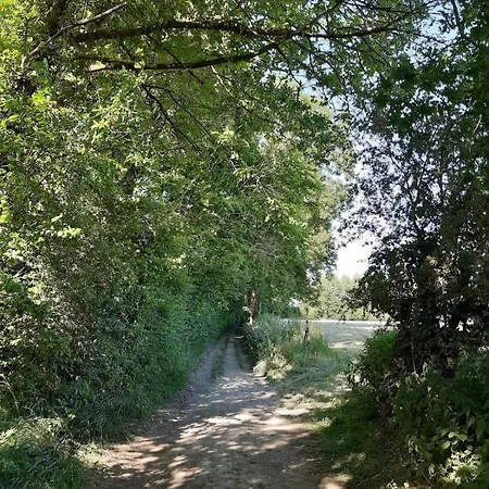 Maison Idealement Situee Entre Liege Et Durbuy Tinlot